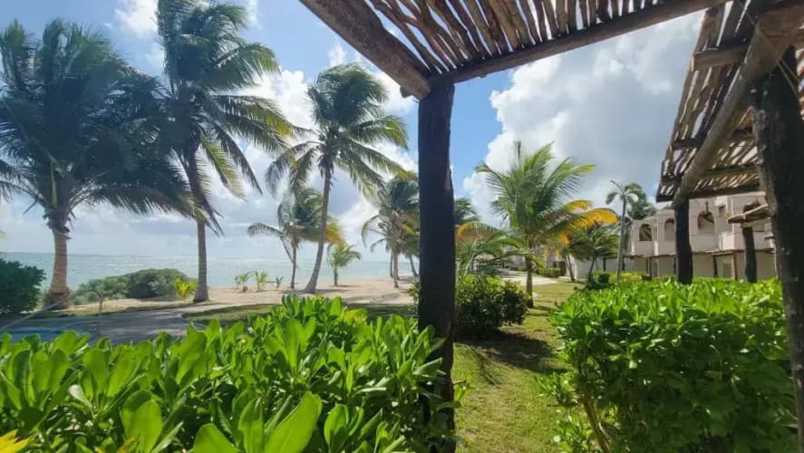 VRclub Tulum Riviera photo 5