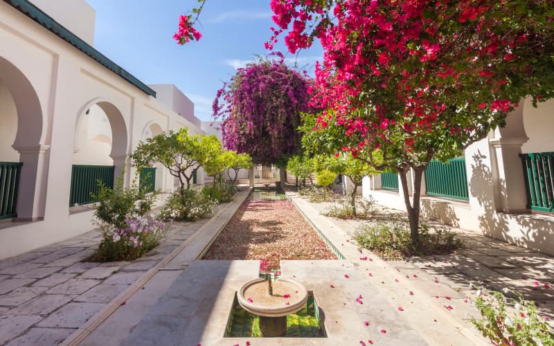 Seabel Alhambra Beach Golf & Spa photo 4