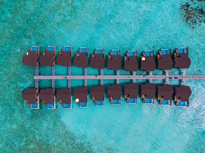 Dhigufaru Island Resort photo 3