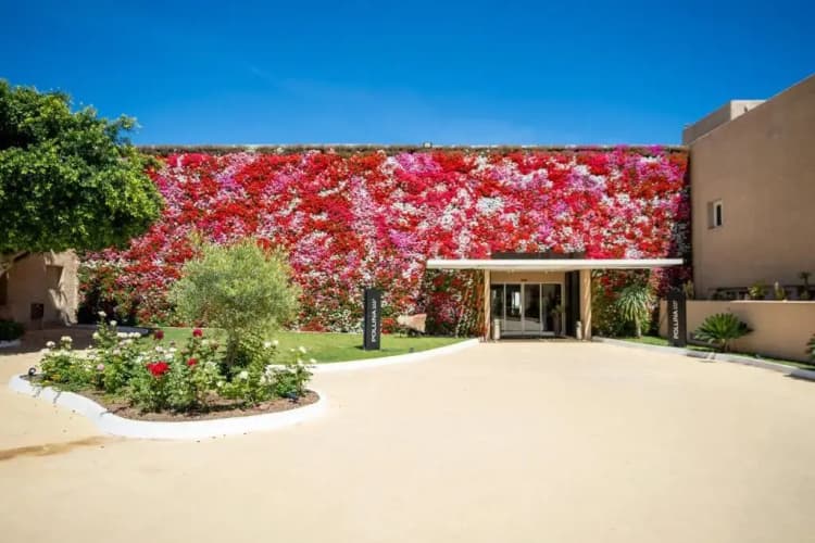 Mangia's Pollina Resort photo 2