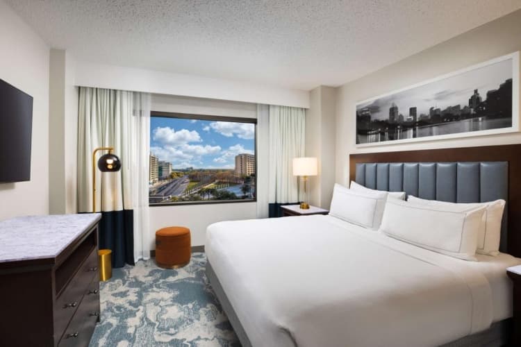 DoubleTree by Hilton Houston Medical Center Hotel & Suites, photo 5