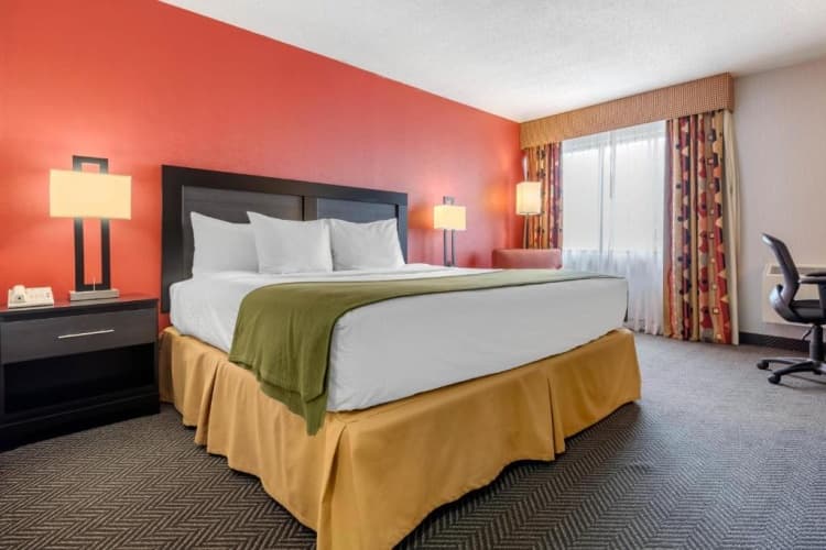 Quality Inn & Suites Mississauga, photo 4