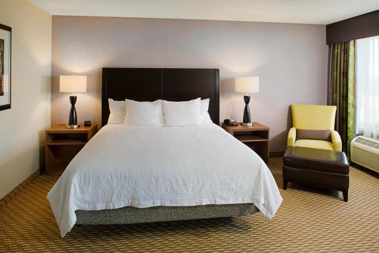 Hilton Garden Inn Hartford North/Bradley Int'l Airport photo 4