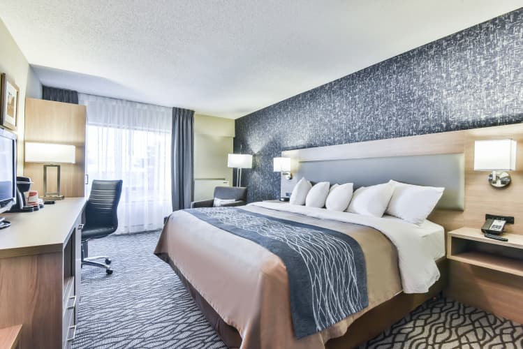 Comfort Inn Aeroport photo 5