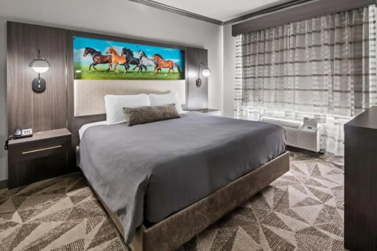 Big Country Hotel & Suites, SureStay Collection by BW photo 4