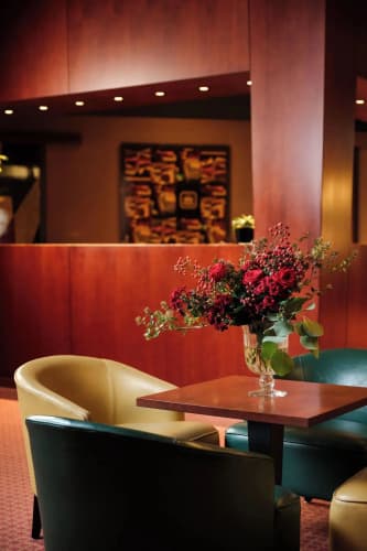 Barchetta Excelsior photo 4