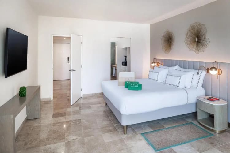 Melia Casa Maya Cancun All Inclsuive photo 4