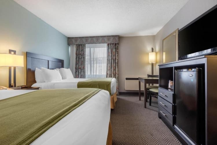 Quality Inn & Suites Mississauga, photo 3
