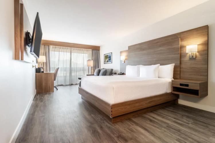 Atrium Inn Vancouver photo 2