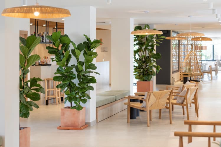Copaiba By Honne Hotels – Adults Only photo 3