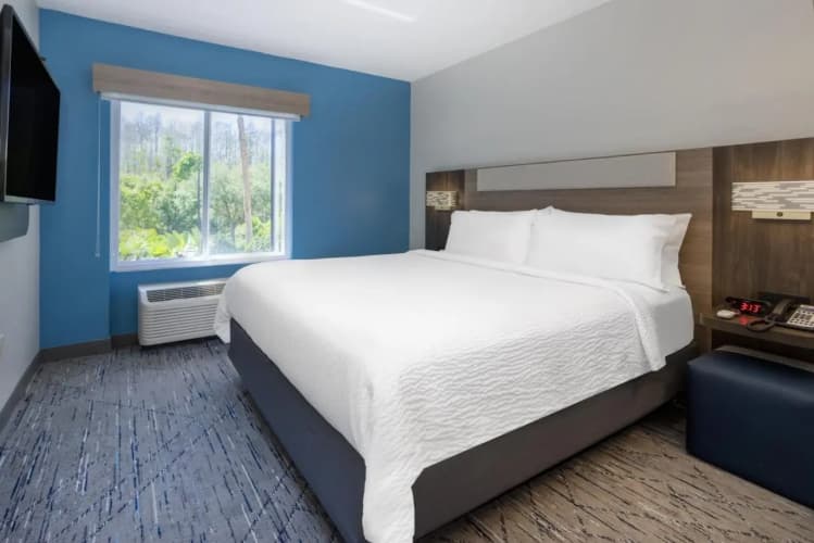 Holiday Inn Express & Suites Tampa-I-75 @ Bruce B.Downs, photo 5