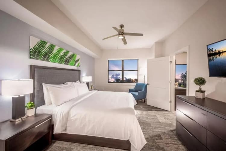 The Grove Resort & Water Park Orlando photo 4