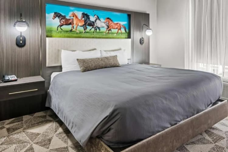 Big Country Hotel & Suites, SureStay Collection by BW photo 5