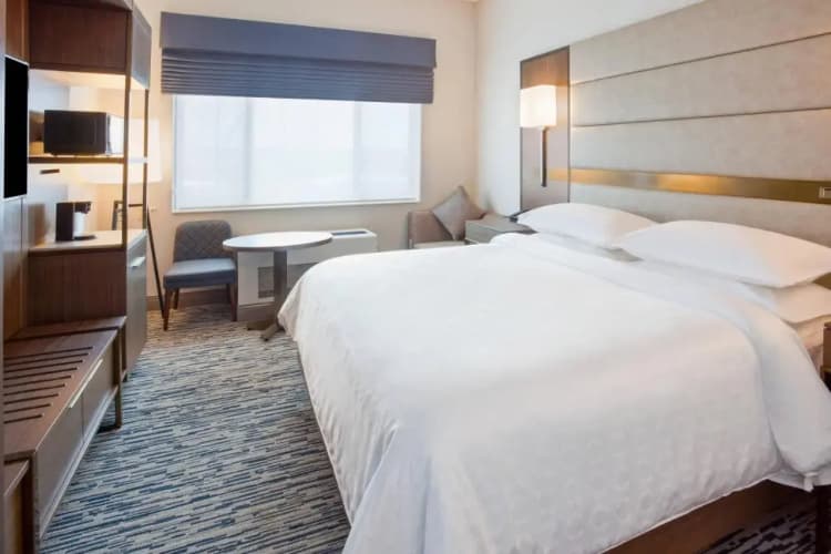 Sheraton St. Paul Woodbury Hotel, photo 3