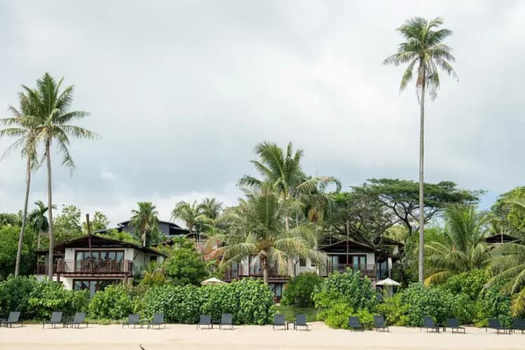 Barcelo Coconut Island photo 2