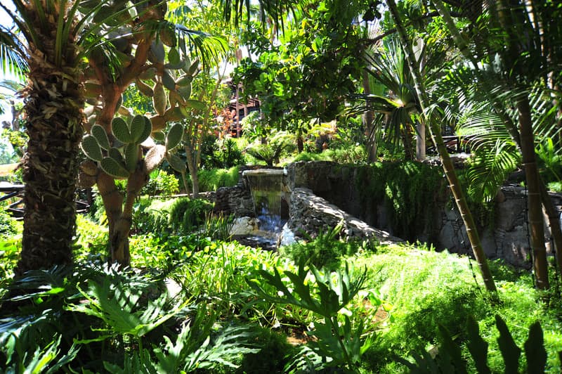 Parque Tropical, photo 1