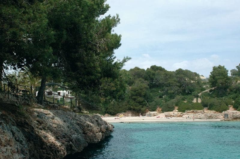Barcelo Ponent Playa, photo 1