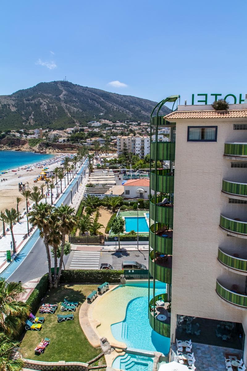 Kaktus Albir, photo 1