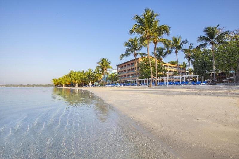 whala! boca chica, photo 1