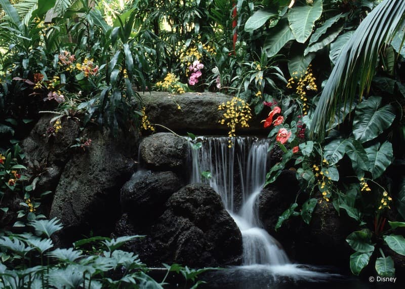 Disney's Polynesian Village Resort, photo 1