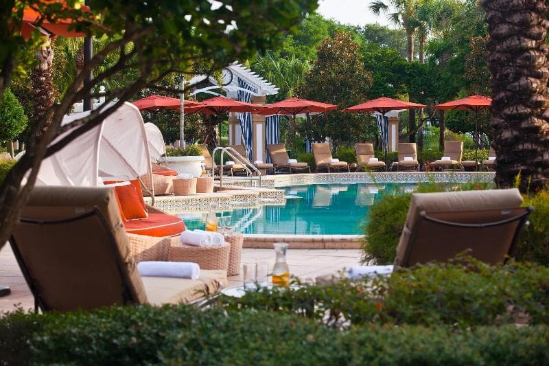 Renaissance Orlando At Seaworld, photo 1
