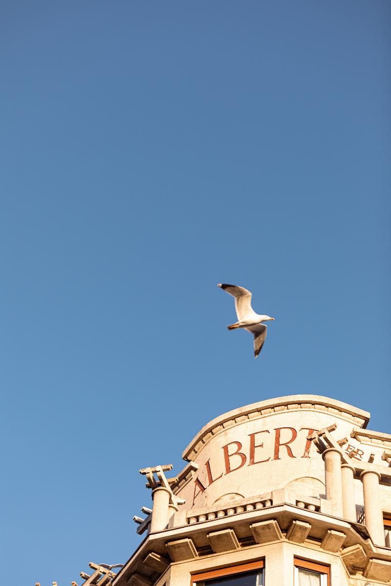 Albert Premier, photo 1