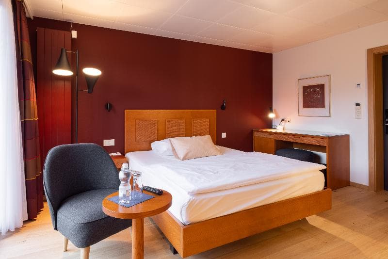 Engimatt Hotel, photo 1