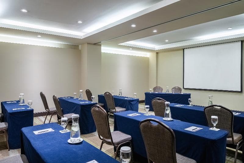 Hyatt Regency Merida, photo 1