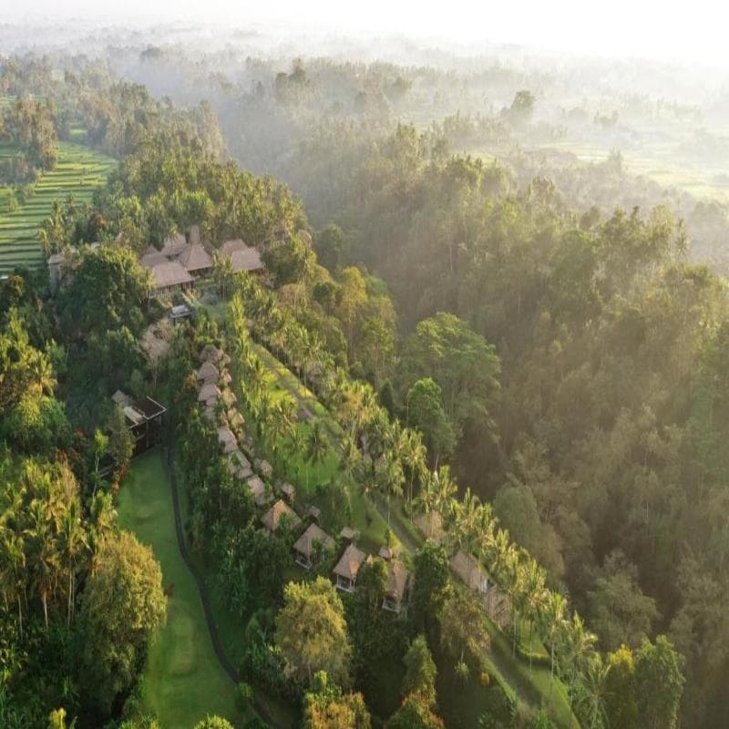 Maya Ubud Resort & Spa, photo 1