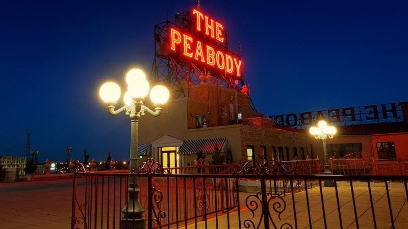 The Peabody Memphis photo 1