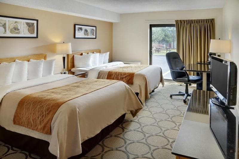 Comfort Inn South, photo 1