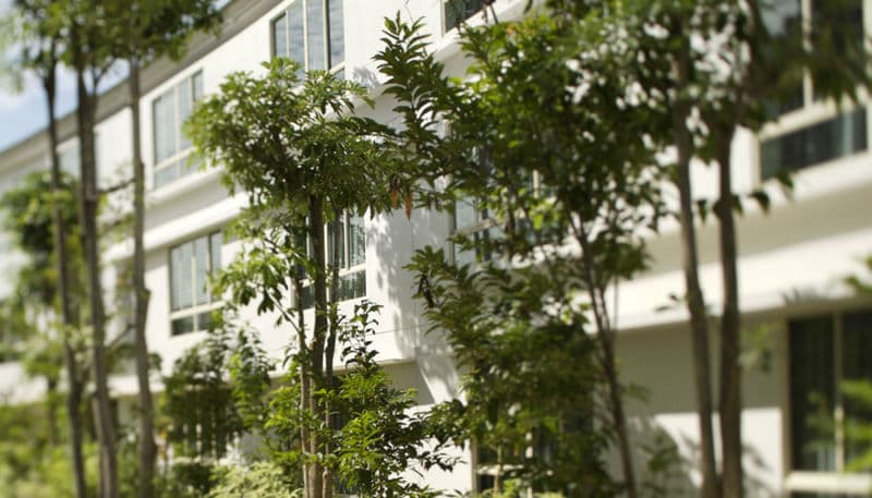 Amara Sanctuary Resort Sentosa, photo 1