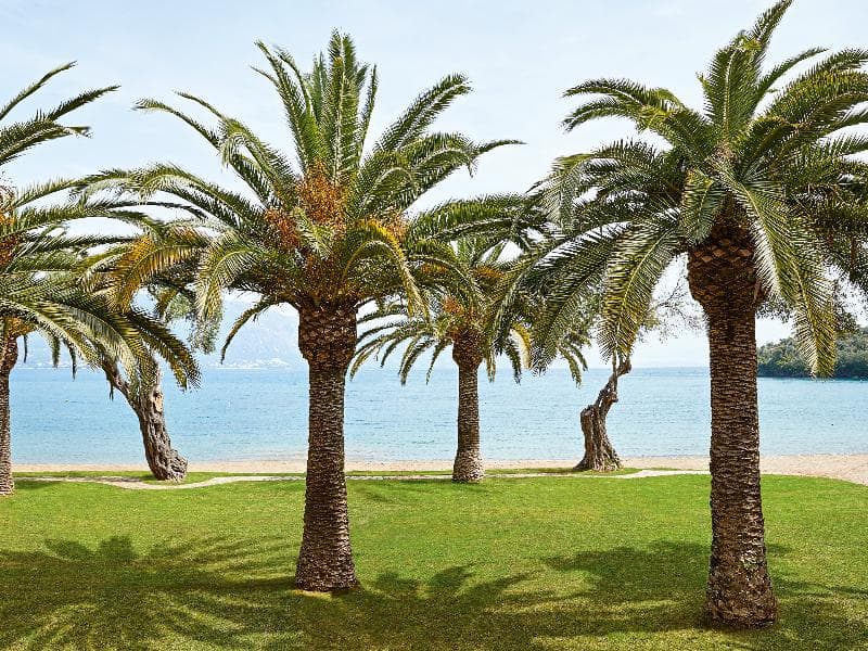 Grecotel Luxme Daphnila Bay Dassia - Adults Only, photo 1