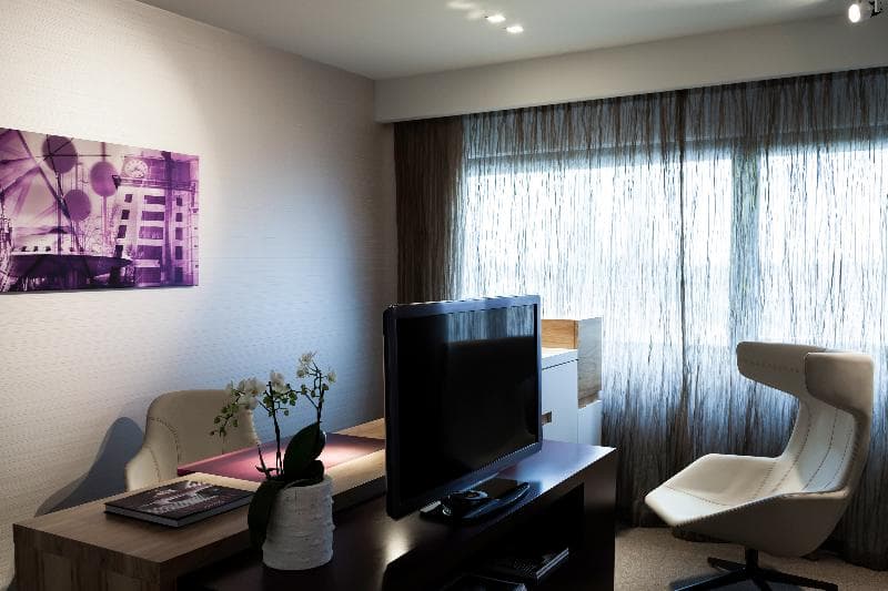 Pullman Eindhoven Cocagne, photo 1