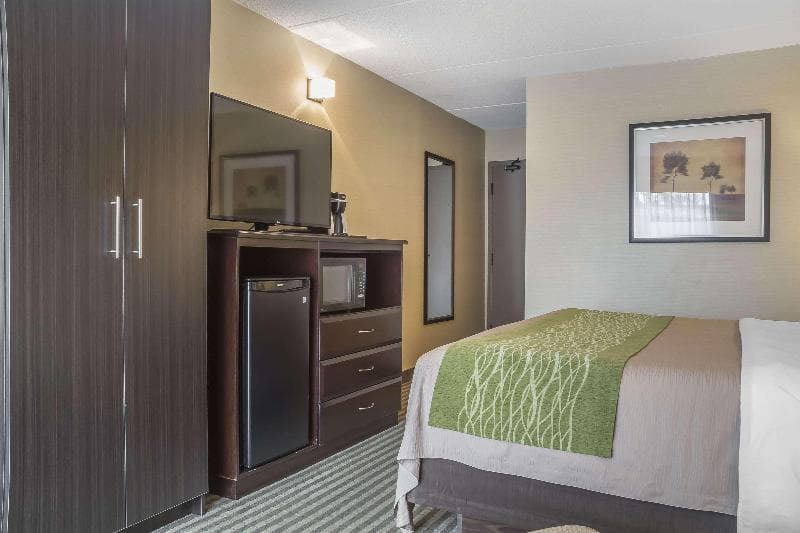 Comfort Inn Chatham, photo 1