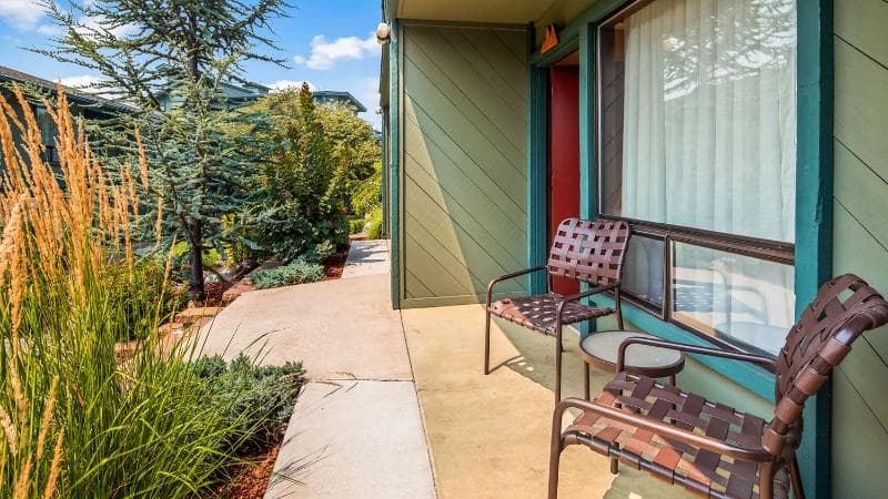 Best Western Plus Tree House, photo 1