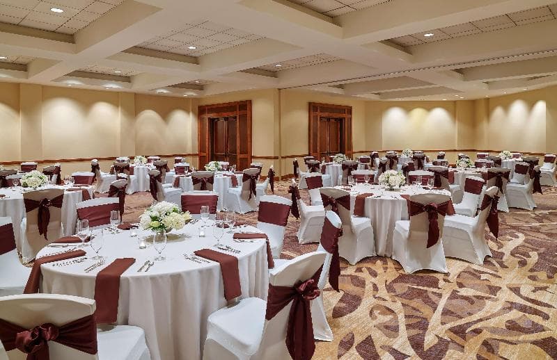 DoubleTree by Hilton San Antonio Airport, photo 1