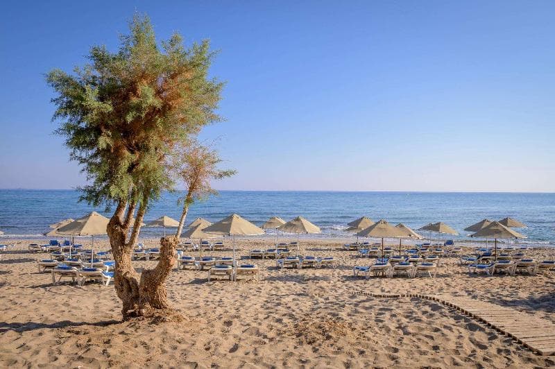 Lyttos Beach, photo 1
