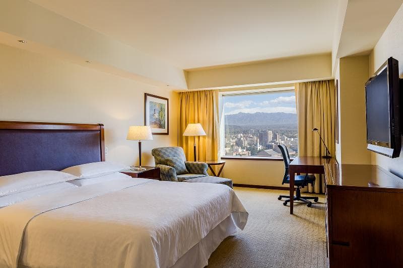 Sheraton Mendoza, photo 1