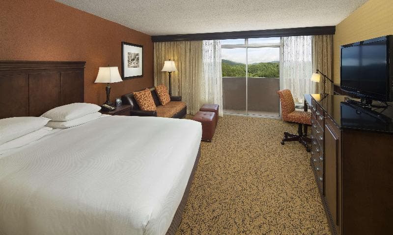 The Park Vista A Doubletree By Hilton Hotel Gatlinburg, photo 1