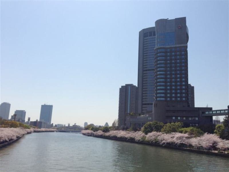 Imperial Osaka photo 1
