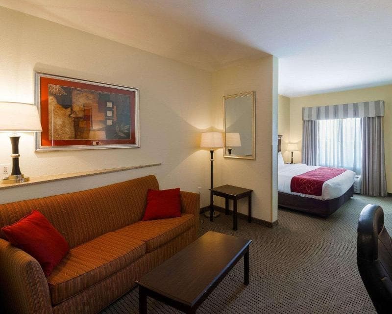 Comfort Suites University Abilene, photo 1