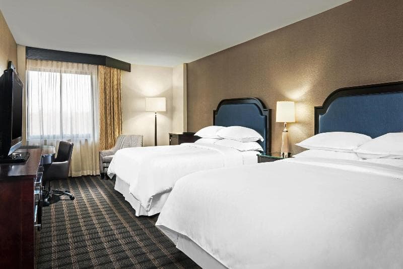 Sheraton Charlotte Airport Hotel, photo 1