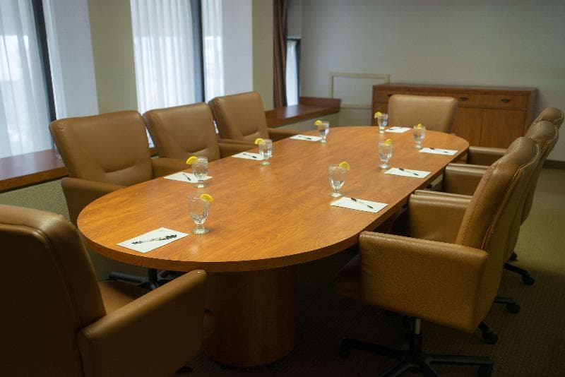 Radisson Hotel Duluth-Harborview, photo 1