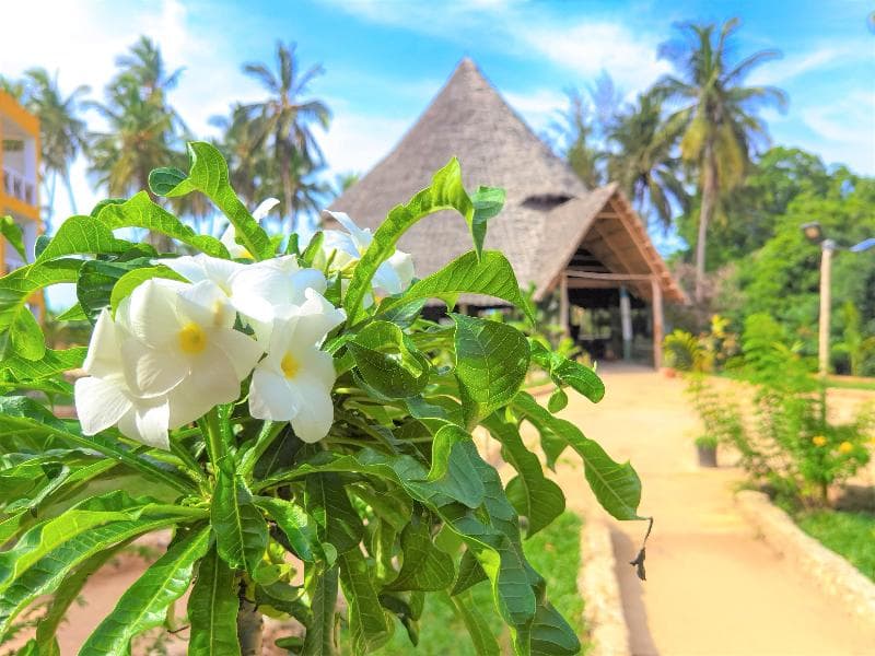 Reef & Beach Resort, photo 1