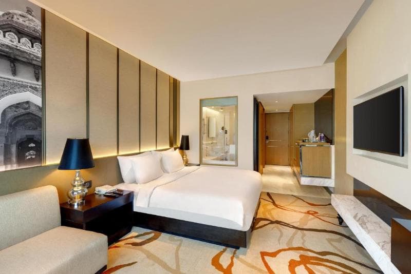 Pride Plaza Hotel Aerocity, photo 1