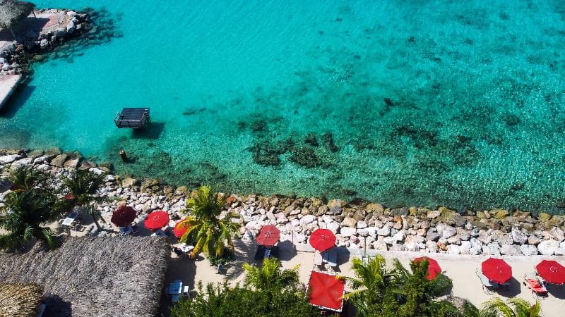 Coral Estate Luxury Resort, photo 1
