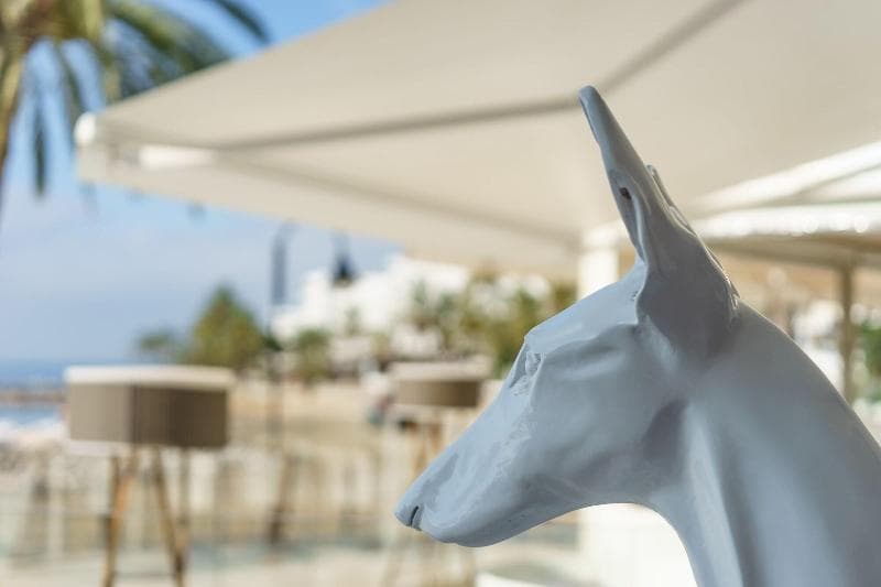 One Ibiza Suites photo 1