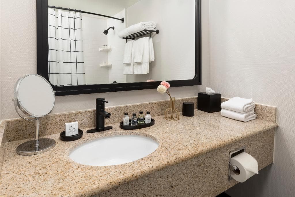 Holiday Inn Boston-Brookline photo 4