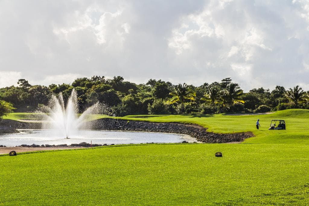 Iberostar Selection Paraiso Maya photo 5